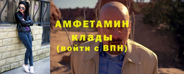 индика Володарск