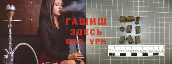 индика Володарск