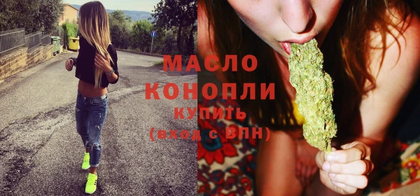 индика Володарск