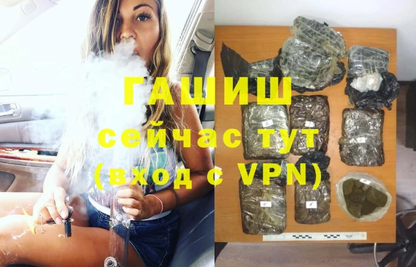 индика Володарск