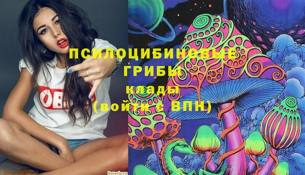 индика Володарск