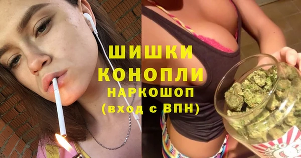 индика Володарск