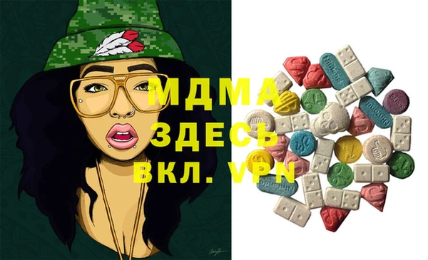 индика Володарск