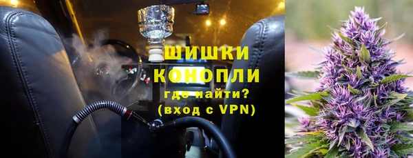 индика Володарск