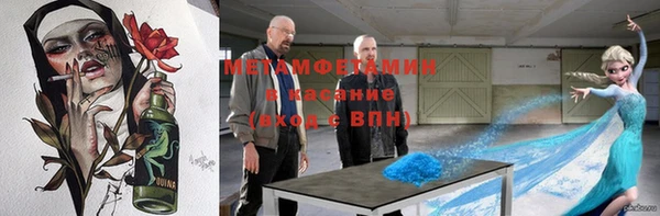 индика Володарск