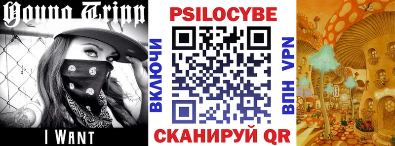 Купить закладки  Тихорецк  Галлюциногенные грибы Psilocybine cubensis 